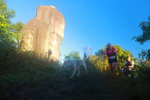 BIB: 
                            <button type="button" onclick="openModal(19083809)" class="btn btn-primary btn-sm float-right btn-popup" data-toggle="modal" data-target=".modal-high-quality">
                        <i class="fas fa-shopping-cart"></i> Add to Cart
                    </button>
                                            <button type="button" onclick="isThisMe(19083809, true)" class="btn btn-success btn-sm float-right btn-popup btn-isme hidden" data-toggle="tooltip" data-placement="bottom" title="นี่คือรูปของคุณใช่ไหม คลิกที่นี่เพื่อเอาเข้าอัลบั้ม">
                        <i class="fas fa-plus"></i> Add to album
                    </button>
                    <button type="button" onclick="isThisMe(19083809, false)" class="btn btn-warning btn-sm float-right btn-popup btn-isnotme hidden">
                        <i class="fas fa-ban"></i> Remove from album
                    </button>